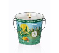 M&SENSE Bougie Parfumées Citronnelle Verveine Rose | Bougie en Soja Bio 110h aux Notes Romantiques, Ambiance Élégante pour Dîners, Mariages & SPA - Cadeau Chic pour Amoureux