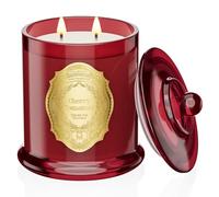 M&SENSE Tomates Cerises Bougie Parfumée Grande Bougie de Soja à 2 Mèches|12.7oz 360g de cire de Soja Naturelle|70 Heures de Combustion|Bougies Cadeaux pour Femmes|Bougie Decorative