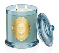 M&SENSE Verveine Bougie Parfumée Grande Bougie de Soja à 2 Mèches|12.7oz 360g de cire de Soja Naturelle|70 Heures de Combustion|Bougies Cadeaux pour Femmes|Bougie Decorative