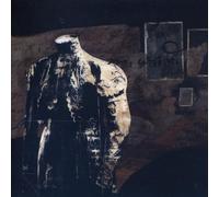 M.Ward - End of Amnesia
