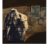 M. Ward End of Amnesia (Vinyl) 20th Anniversary 12" Album