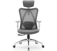 M18 Fauteuil de Bureau Ergonomique, soutien lombaire, accoudoirs réglables, 150kg max. Gris