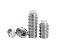 M2 M2.5 M3 M4 M5 M6 M8 M10 M12 M16 304 Stainless Steel Hex Hexagon Socket Plastic Nylon Convex Point Tip Grub Bolt Set Screw(70mm,5pcs M8)