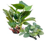 M2cbridge Plantes artificielles en soie pour aquarium (2 pièces hautes et courtes)