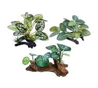 M2cbridge Plantes artificielles en Soie pour Aquarium - Herbe Aquatique - Décoration de Premier Plan (3 Herbes Vertes)