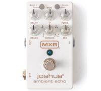 M309 Joshua Ambient Echo