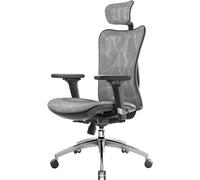 M57 Chaise de bureau ergonomique en maille avec support lombaire réglable, accoudoirs 3D, chaise d'ordinateur à dossier haut respirante (gris)