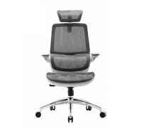 M59AS Chaise de bureau ergonomique- Accoudoirs 3D réglables & rabattables, 43.5x50.5x101.6cm-Gris