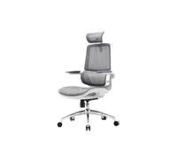 Chaise de bureau ergonomique SIHOO M59AS, chaise de bureau avec accoudoirs relevables 3D, chaise d'ordinateur avec conception de double dossier et soutien lombaire dynamique adaptatif (Gris)