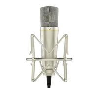 MA-67 Microphone à condensateur de studio, capsule à large diaphragme doré de 34 mm, avec filtre hydropop, support antichoc en métal, câble XLR et sac de micro - pour production de musique,