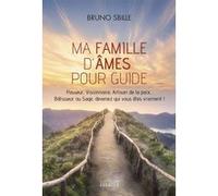 Ma famille d'âmes pour guide - Passeur, Visionnaire, Artisan de la paix, Bâtisseur ou Sage, devenez