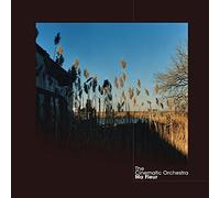 Ma Fleur [Vinyl] by The Cinematic Orchestra [VINYL] NEUF