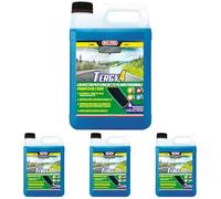 Ma-Fra Tergy 4, Format 4,5L, Liquide Lave-Glace Automobile Multisaison prêt à l'emploi pour bacs Lave-Glace, Nettoyant Antigel pour Essuie-Glaces Jusqu'à -5°C, élimine Les Pellicules de Circulation