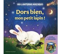 Ma lanterne magique – Dors bien, mon petit lapin ! – Un livre-veilleuse (rechargeable)