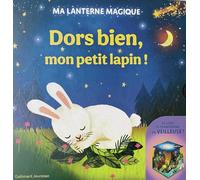 Ma lanterne magique - Dors bien, mon petit lapin !: Un livre-veilleuse (rechargeable)