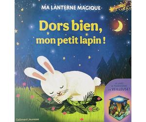 Ma lanterne magique - Dors bien, mon petit lapin !: Un livre-veilleuse (rechargeable)