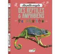 Ma petite encyclo des reptiles et amphibiens Audrey Ottonelli (Auteur)