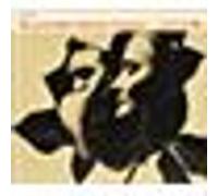 Ma plus belle histoire d'amour Barbara