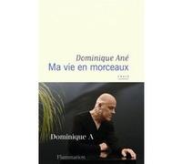 Ma vie en morceaux
