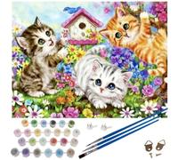 Maaleo 22781 Peinture par numéros - Chats 40 x 50 cm