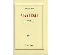 Maalesh : journal d'une tournée de théâtre