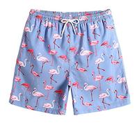 MaaMgic Short de Bains D'Ete Garcons Filles Carton Dinasaure Slip Filet Maillot de Bain Enfant a la Plage, Flamingo, 4 ans