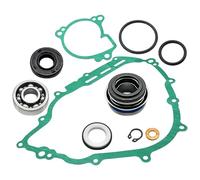 Mabutingti Kit de réparation pompe à eau avec roulement, joint et bague d'étanchéité pour Yama-ha Grizzly 550 Grizzly 700 Rhino 700 Viking 700