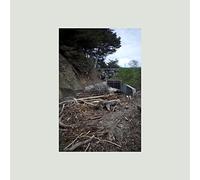 Mac Demarco – Five Easy Hot Dogs – Vinyle