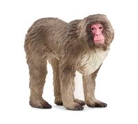 Macaque japonais
