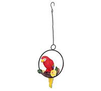 Macaw Garden Pendant Life Like Like Resin Perrots Figurine pour la décoration de Patio de Cour intérieure extérieure