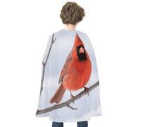 maccbn Cape d'Halloween réversible bleu et rouge cardinal oiseau médiéval Renaissance Cosplay fête d'anniversaire Déguisement