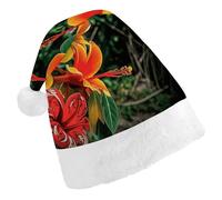 maccbn Chapeau de Père Noël extensible avec fleurs hawaïennes pour chant, Nouvel An, cosplay