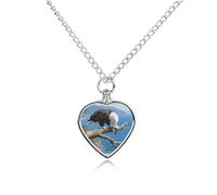 maccbn Collier urne en forme d'aigle avec peigne et plumes pour animaux de compagnie - Pendentif commémoratif imperméable en forme de cœur avec kit de remplissage - Chaîne réglable de 70,1 cm - Bijoux