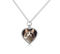 maccbn Collier urne imperméable en forme de cœur avec kit de remplissage - Chaîne réglable de 70,1 cm - Bijou souvenir pour chien et chat - Cadeau de condoléances pour les amoureux des animaux
