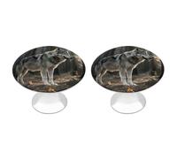 maccbn Lot de 2 boutons de tiroir ronds en acier inoxydable avec vis pour commode, placard, porte de placard, armoire, facile à installer - 2,8 cm