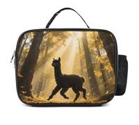 maccbn Merveilleux sac à déjeuner isotherme réutilisable avec poignée amovible - Sac isotherme portable étanche pour le travail, le pique-nique, la plage, les voyages, les femmes, les hommes et les