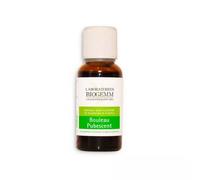 Macérat Bourgeon Bouleau Pubescent Bio 30ml Gemmothérapie Biogemm