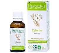 Macérât De Bourgeon Bio | Sans Alcool | Gemmothérapie | Flacon de 30 ml | Herbiolys (Eglantier)