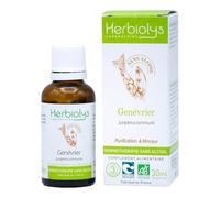 Macérât De Bourgeon Bio | Sans Alcool | Gemmothérapie | Flacon de 30 ml | Herbiolys (Genévrier)