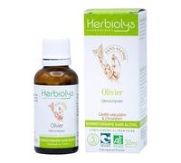 Macérât De Bourgeon Bio | Sans Alcool | Gemmothérapie | Flacon de 30 ml | Herbiolys (Olivier)