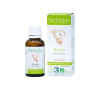 Macérat de bourgeon sans alcool de bruyère bio - confort urinaire