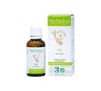 Macérat de bourgeon sans alcool de gui bio - cardio-vasculaire et purification