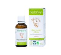 Macérat de bourgeon sans alcool de marronnier d'inde bio - circulation