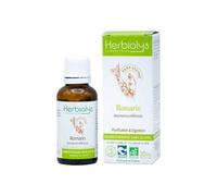 Macérat de bourgeon sans alcool de romarin bio - purification et digestion