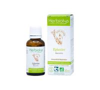 Macérat de bourgeon sans alcool d'eglantier bio - immunité et respiration