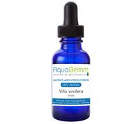 Macérats-Mères Hydroglycérinés Sans Alcool Vigne 50 Ml Aquagemm Bio