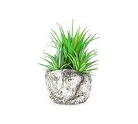 MACETERO PIEDRA GRANDE GRIS