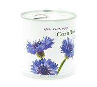 MacFlowers | Petit kit de culture avec bleuet | Design White Edition | Coffret cadeau avec une variété de graines dans une jolie boîte de fleurs instantanée