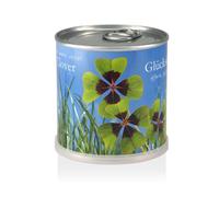 MacFlowers® Petit kit de culture avec trèfle à quatre feuilles - Coffret cadeau avec une variété d'oignons dans une jolie boîte de fleurs instantanée