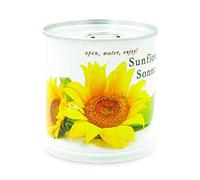 MacFlowers Tournesol - Fleurs dans une boîte.